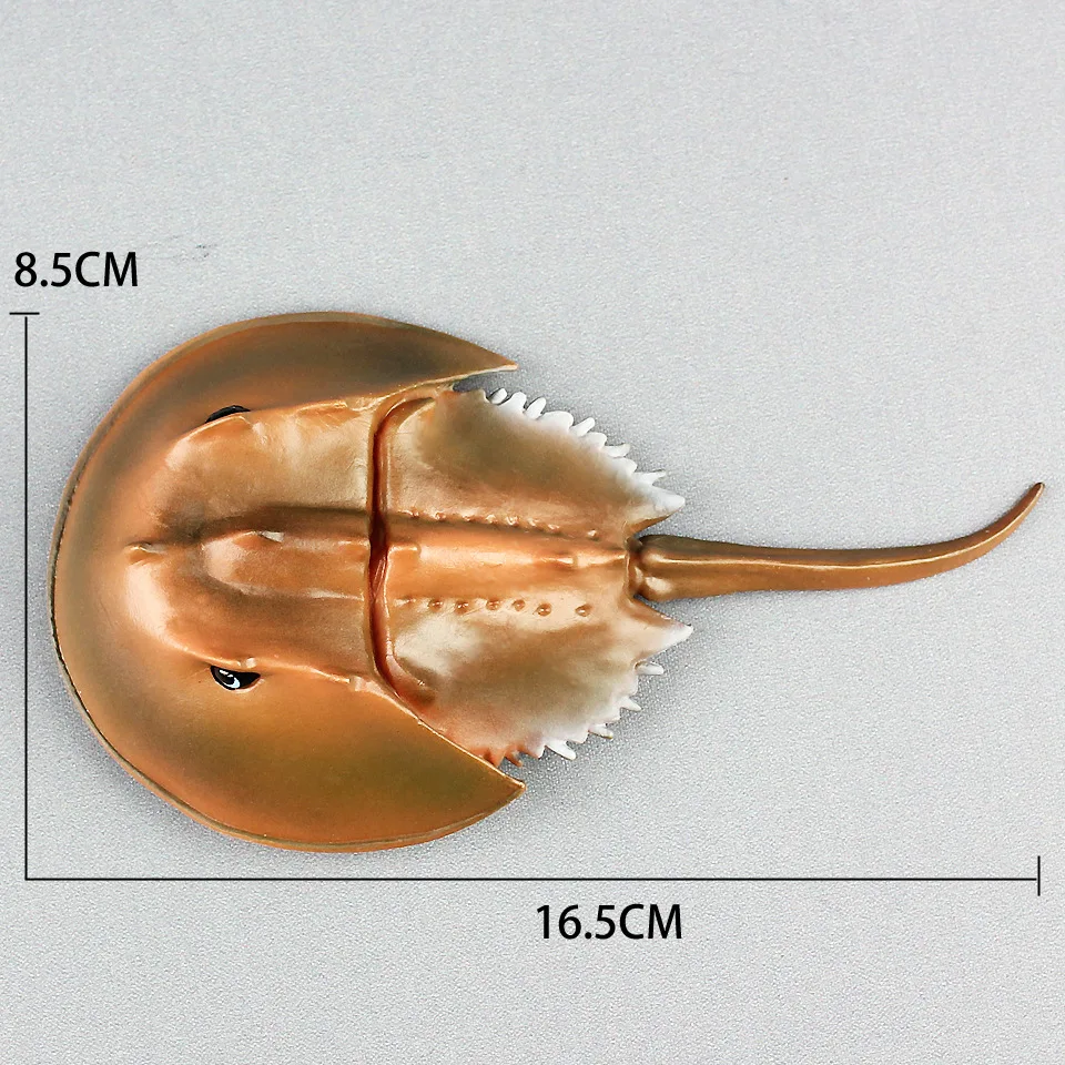Подкова Краб Морская жизнь модель животных Игрушки для мальчиков Дети|Игровые