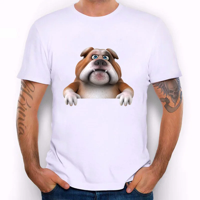 french bulldog-5