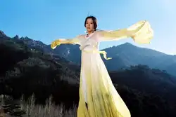 Желтый Классический танцевальный костюм Hanfu для фильма миф Yu Shu принцесса танец Hanfu желтый костюм