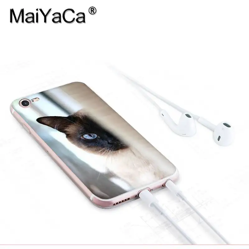 MaiYaCa для iphone 7 6 X Чехол для домашних животных сиамский Кот Прозрачный чехол для iphone 8 7 6 6S Plus X 10 5 5S SE 5C XS XR мобильный чехол