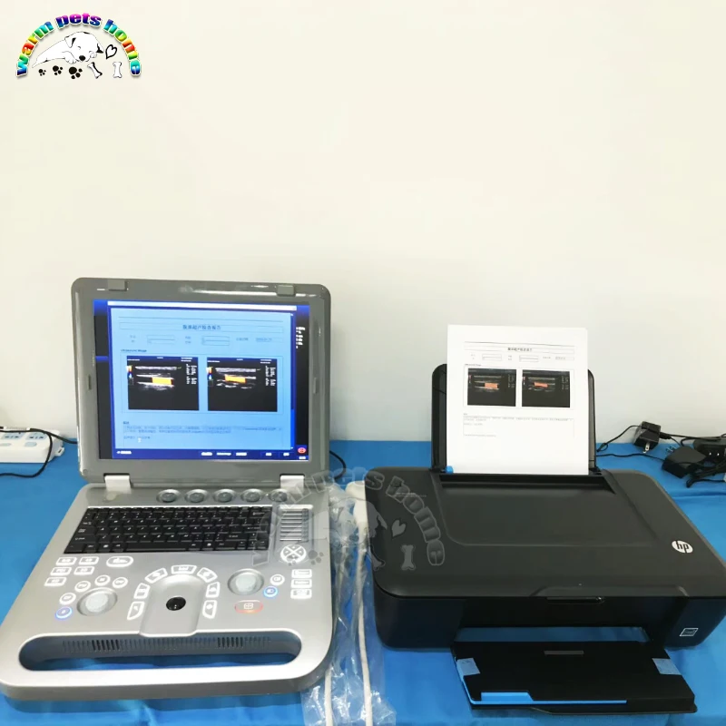 3D Color Doppler Ultrasound Machine for Dog Cat Animals 128G Portable Ultrasound Equipment Veterinary Ultrasound Scanner