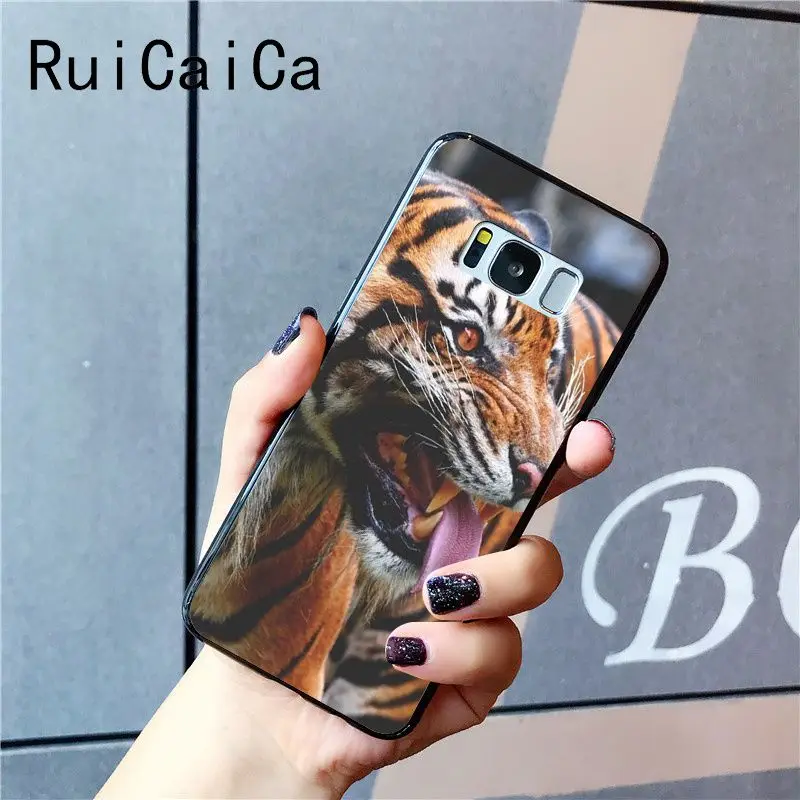 tiger fashion