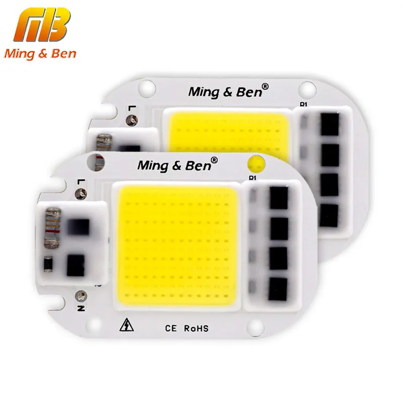 

2pcs LED COB Bulb Chip 20W 30W 50W Smart IC 110V 230V LED Chip For DIY LED Flood Light Day White Cold White Warm White LED Beads