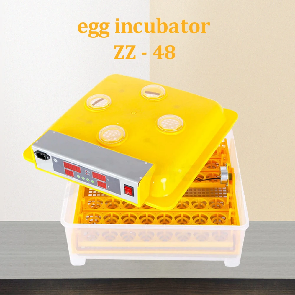 

DULONG 48-eggs electric chicken incubator automatic temperature and humidity control home egg-turning machine chicken hatcher