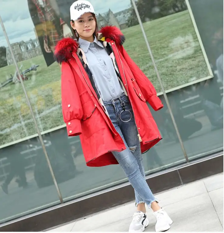 QQ20181211151007