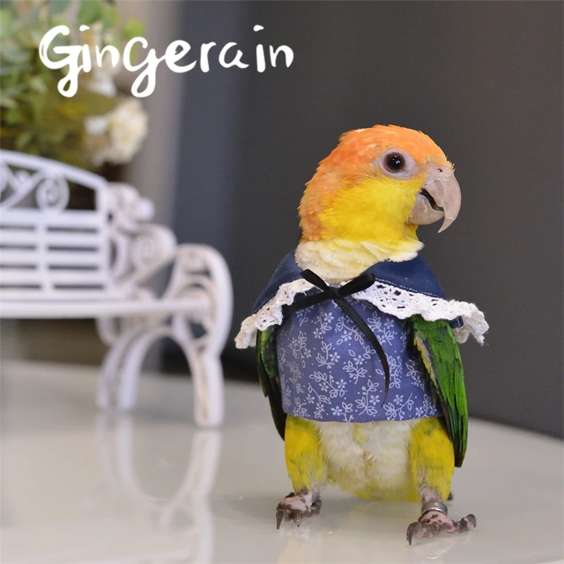 Gingerain одежда с птицами попугай одежда кружевная рубашка оригинальная ручная работа на заказ одежда с птицами свитер с капюшоном кружевная рубашка