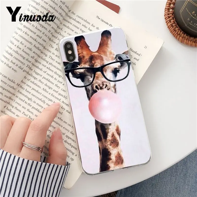 Wear Glasses Giraffe