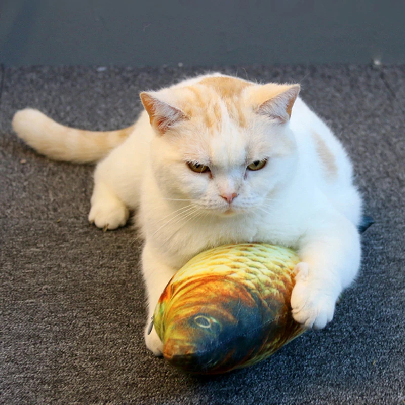 O1CN01lUpclC1eVi4AjQW7N_!!3385273877