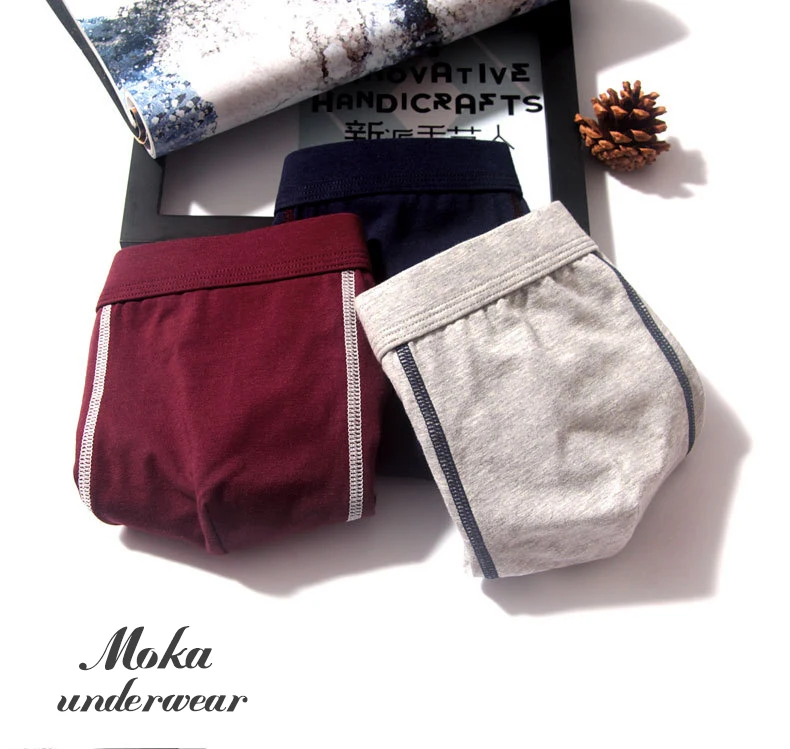 2pcslot Men Underwear Cotton Panties 4XL Cueca Hombre Calvn Boxer Underwear Men Brand Underpants Boxer Shorts 365 Mens Trunks05