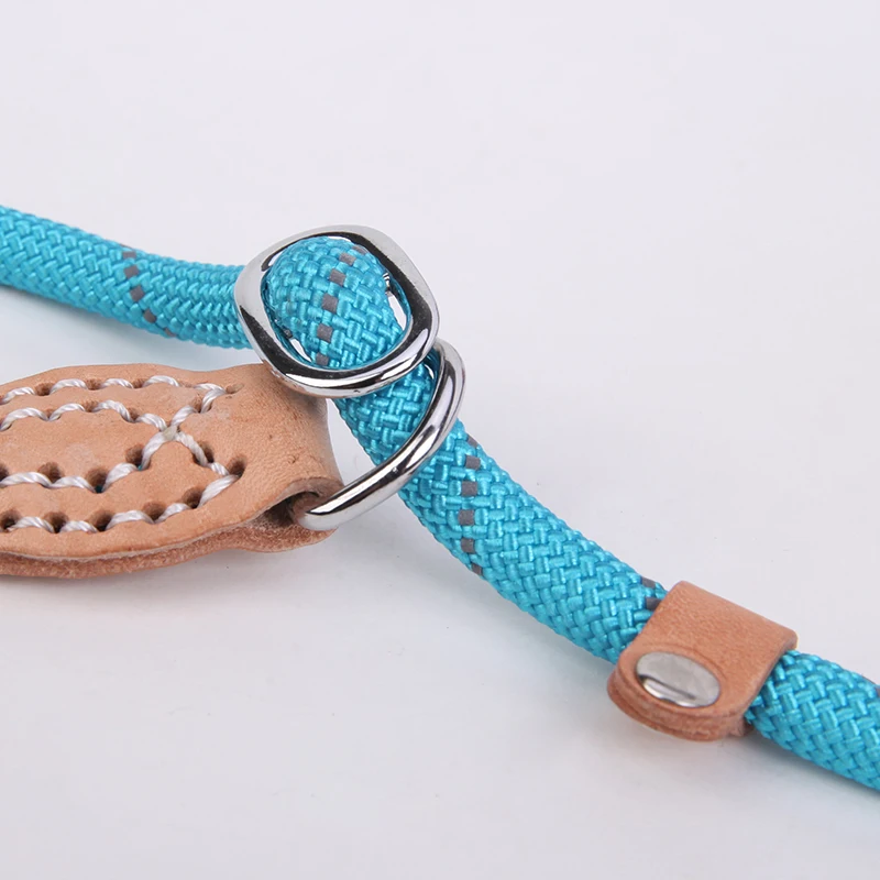 Reflective Dog Leash (5)