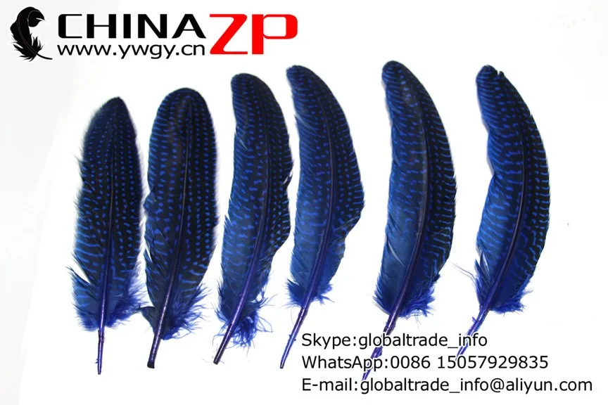 Chinazp фабрики www.ywgy.cn 15 ~ 20 см Длина 200 шт./лот горошек окрашенная Royal Blue цесарки гусиный пух