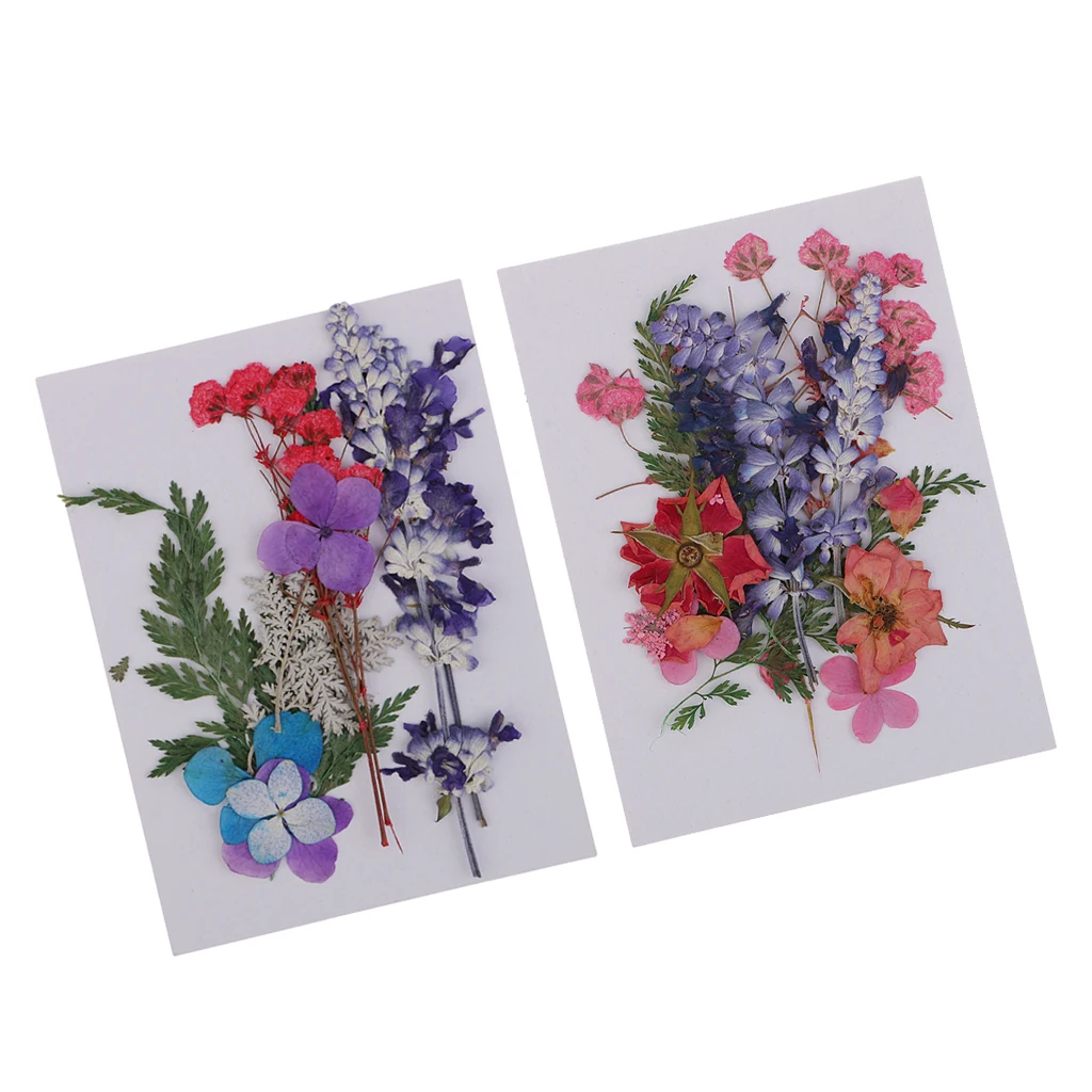 

2 Bag Assorted Kinds of Dried Flowers Petals Pressed Levaes for DIY Scrapbooking Pressed Leaves Art Craft Decorations
