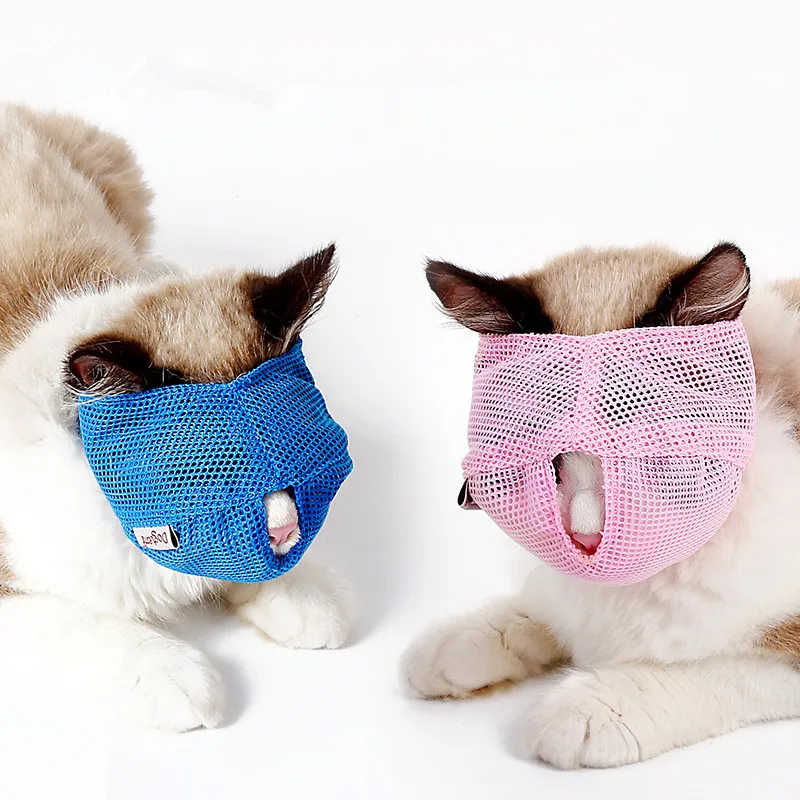 cat muzzle  (4)