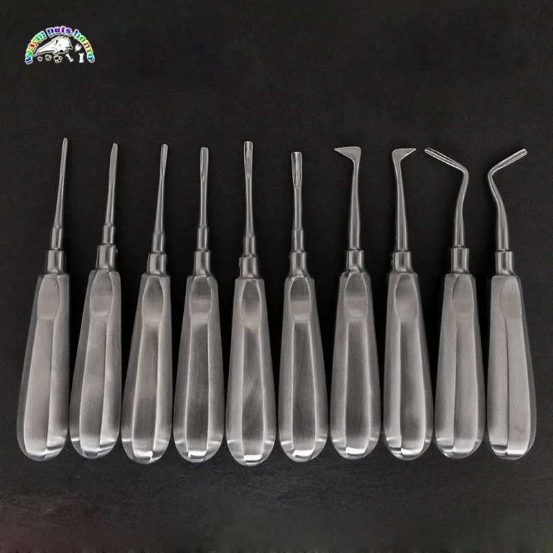 Aparatos dentales para animales, elevador de alas para animales, extracción de dientes de perro y gato, acero inoxidable, dureza Dental