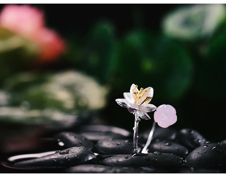 LFJD0079-Lotus-Whispers_11