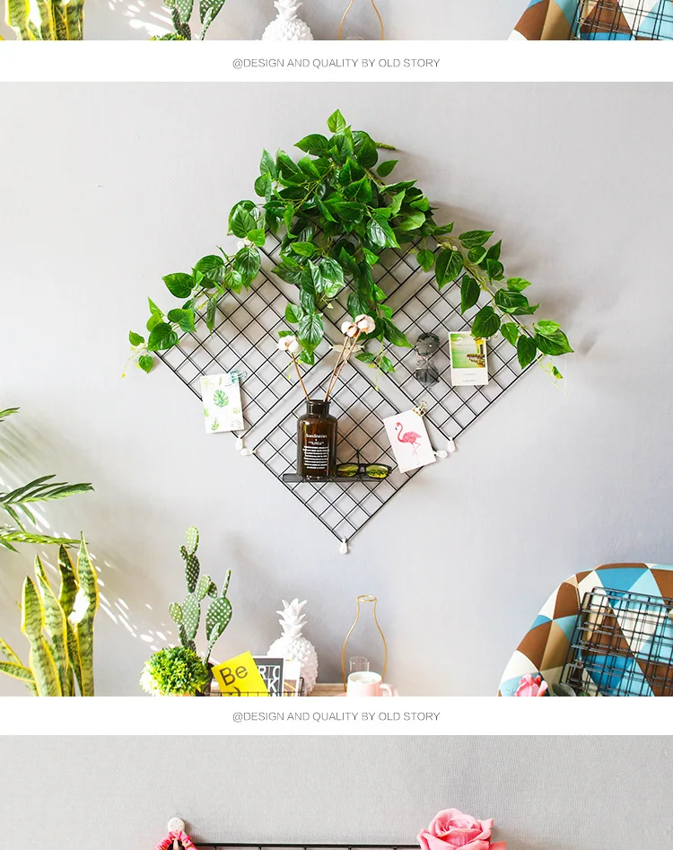 TB2_xkkeL1TBuNjy0FjXXajyXXa_!!2838338129