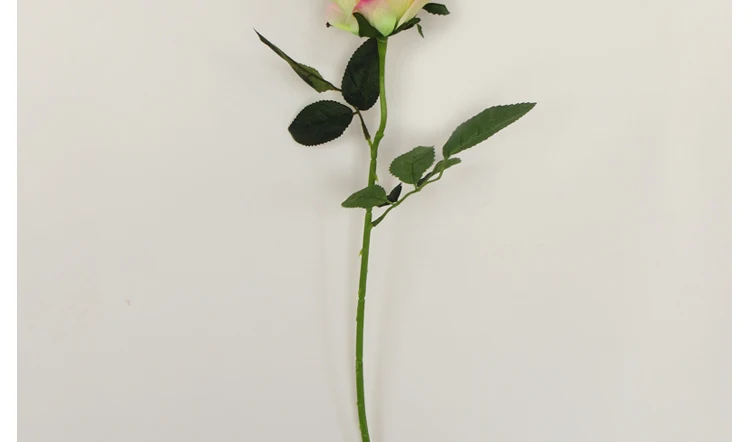 _08