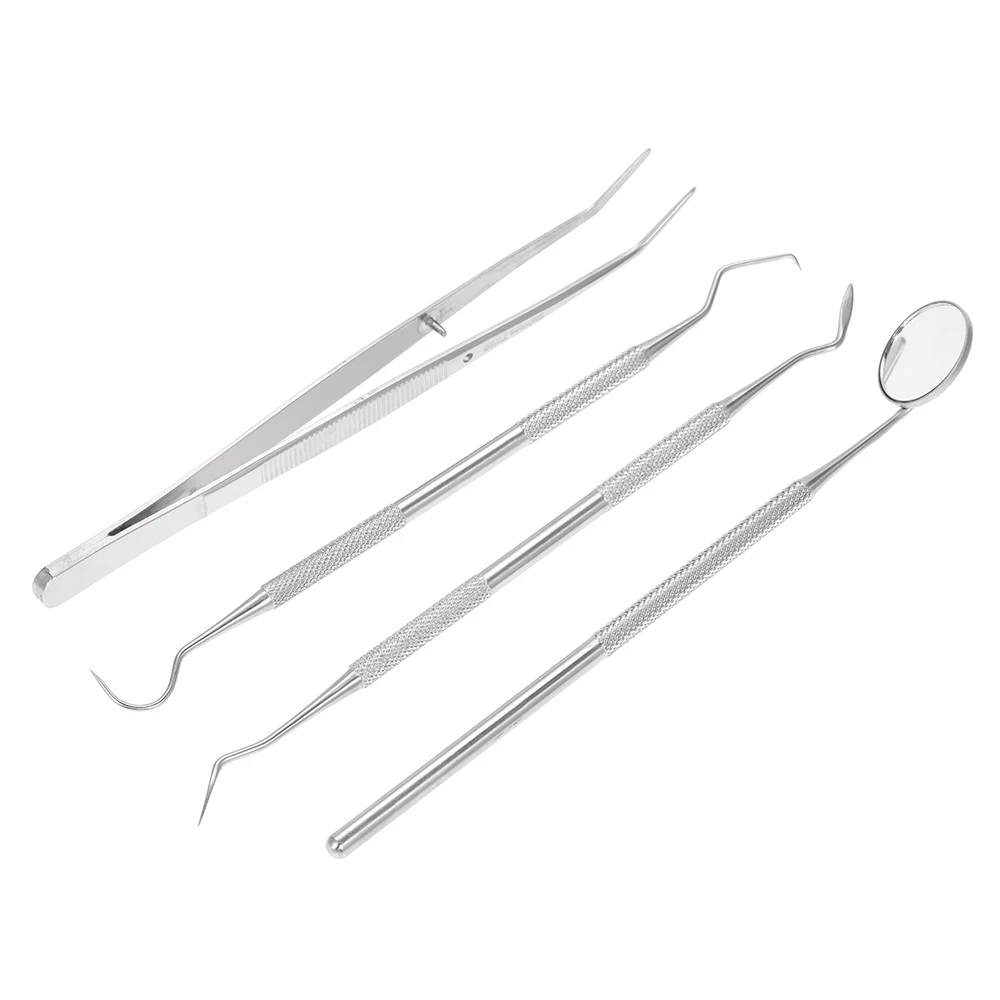 Buy 4pcs Stainless Steel Dental Instruments Kit Dental