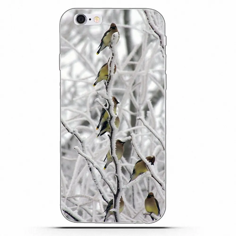 Wexoeq Winter Wolves Cell For Apple iPhone 4 4S 5 5C 5S SE 6 6S 7 8 Plus X High Quality