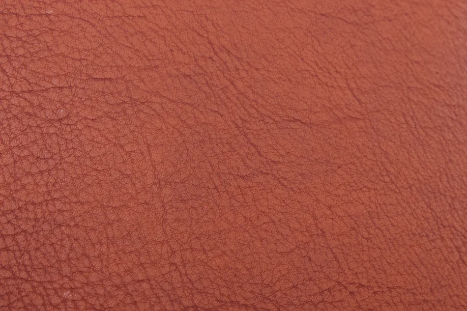 5.1 (3)