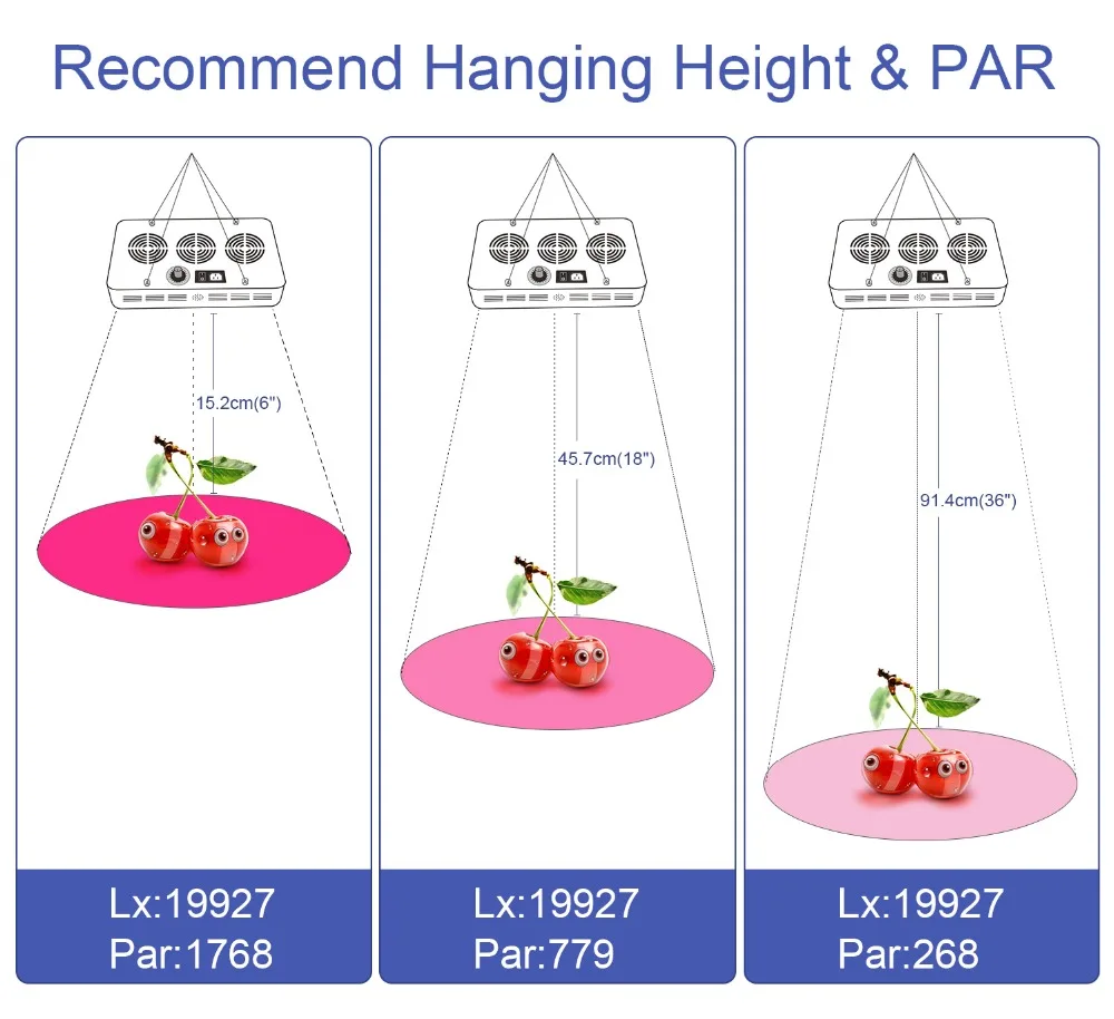 5.PAR