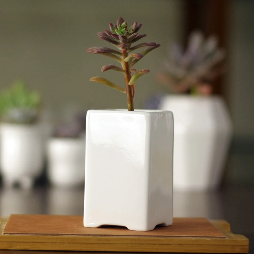 OLOEY 1pc Cute Flowerpot Flower Pot Ceramic Little Size High Simple