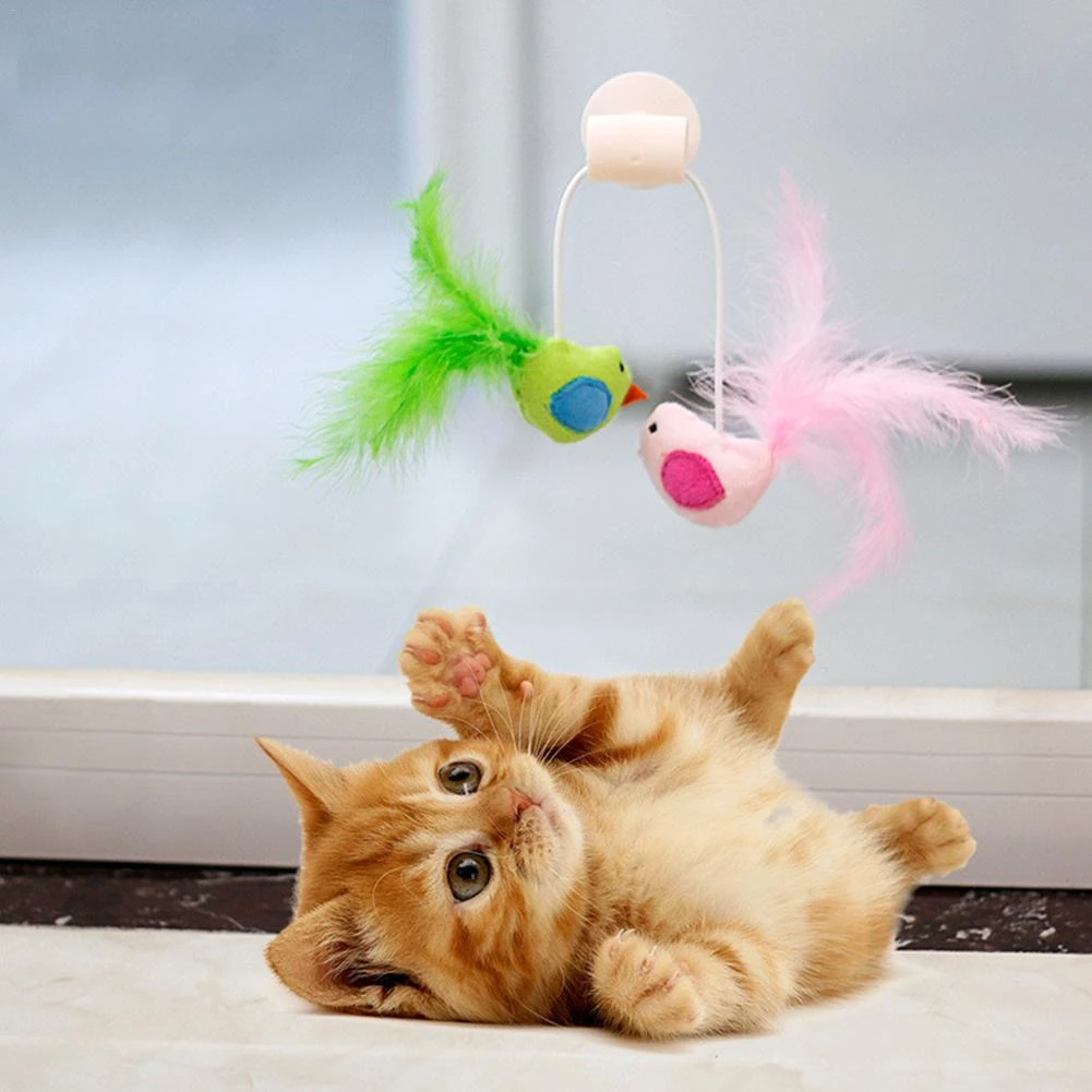 innovative cat toys
