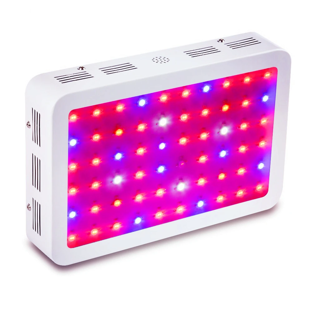 600w
