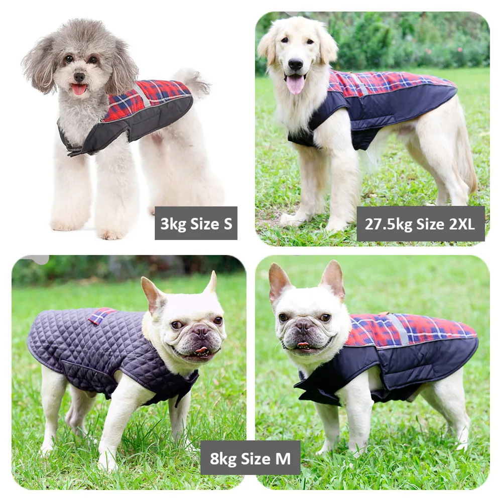 Dog Clothing (1)