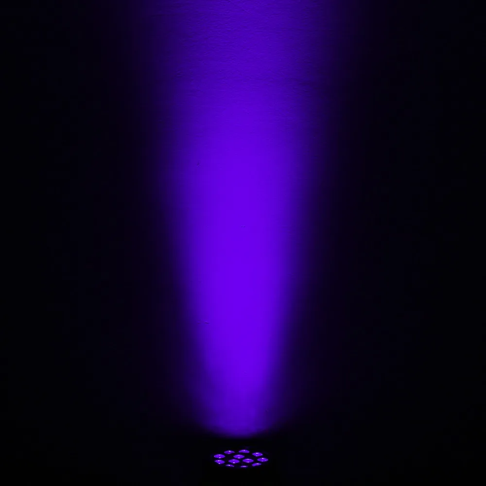 12 violet-2 