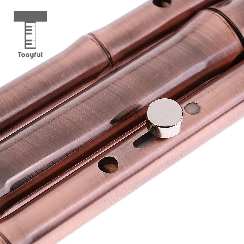 Tooyful Chinese Hulusi Drawing Gourd Cucurbit Flute Key of C Professional Ethnic Wind Musical Instrument for Beginners
