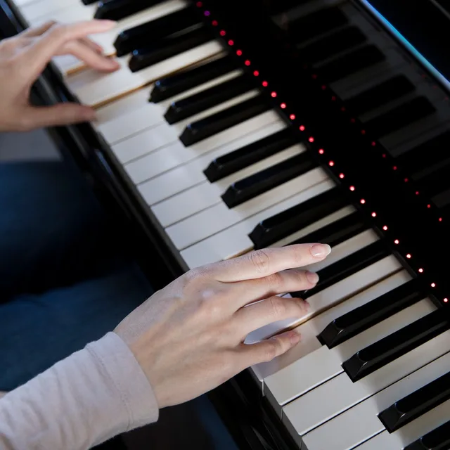 Buy The ONE Piano Hi Lite fit for 88 keys electronic