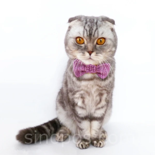 sinopos0600_20180514_720