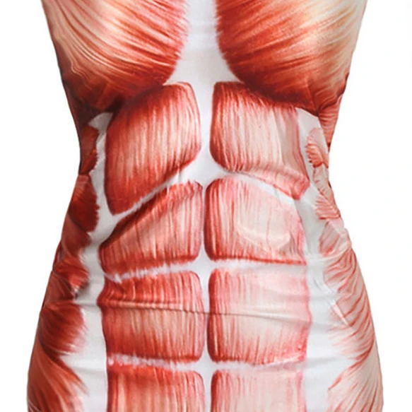 Women's Anatomy Top Medium (4)