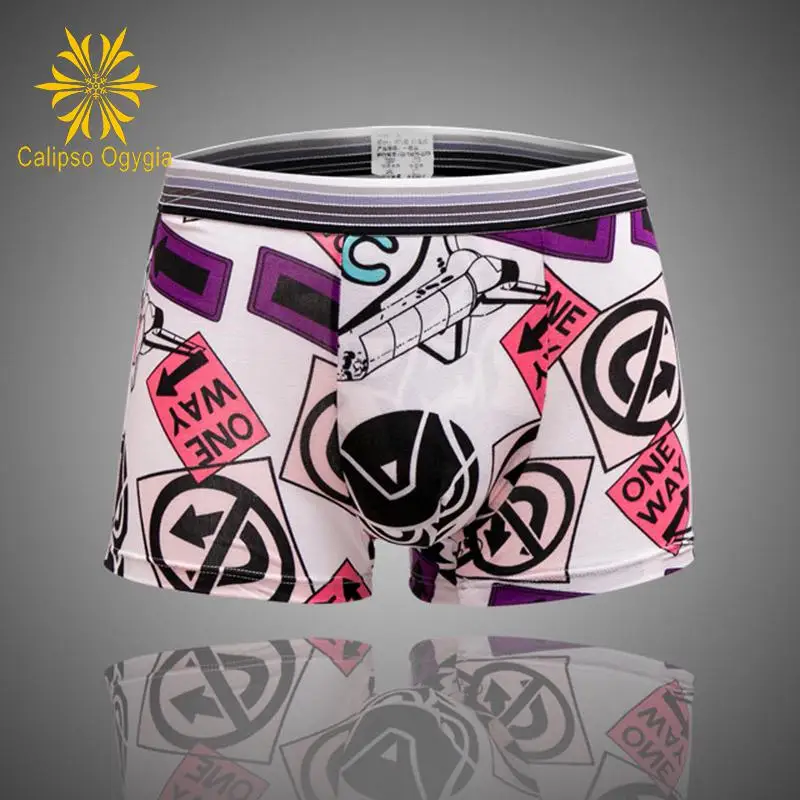 5pcs/lot New Sexy Men's Boxer Underwear Fashion Soft Underwear Boxers Man Short Bulge Pouch Underpants CONNK-001 4
