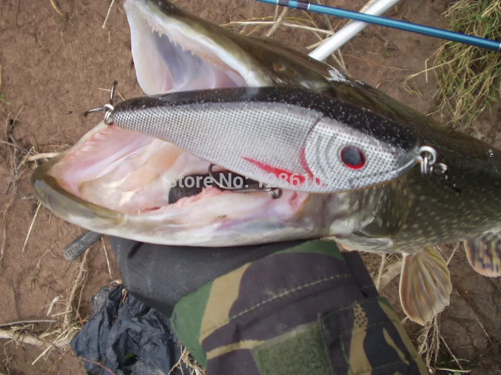 HTB144.4PXXXXXaeXFXXq6xXFXXX2