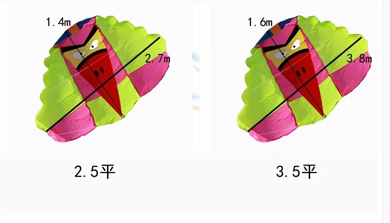 NS5