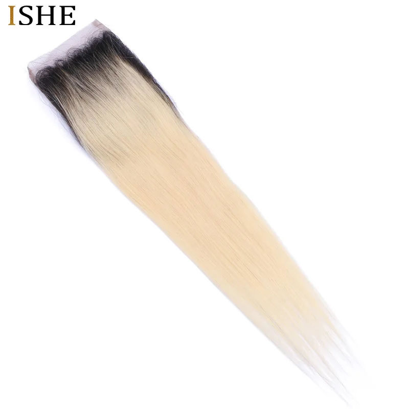 ISHE 1b6133