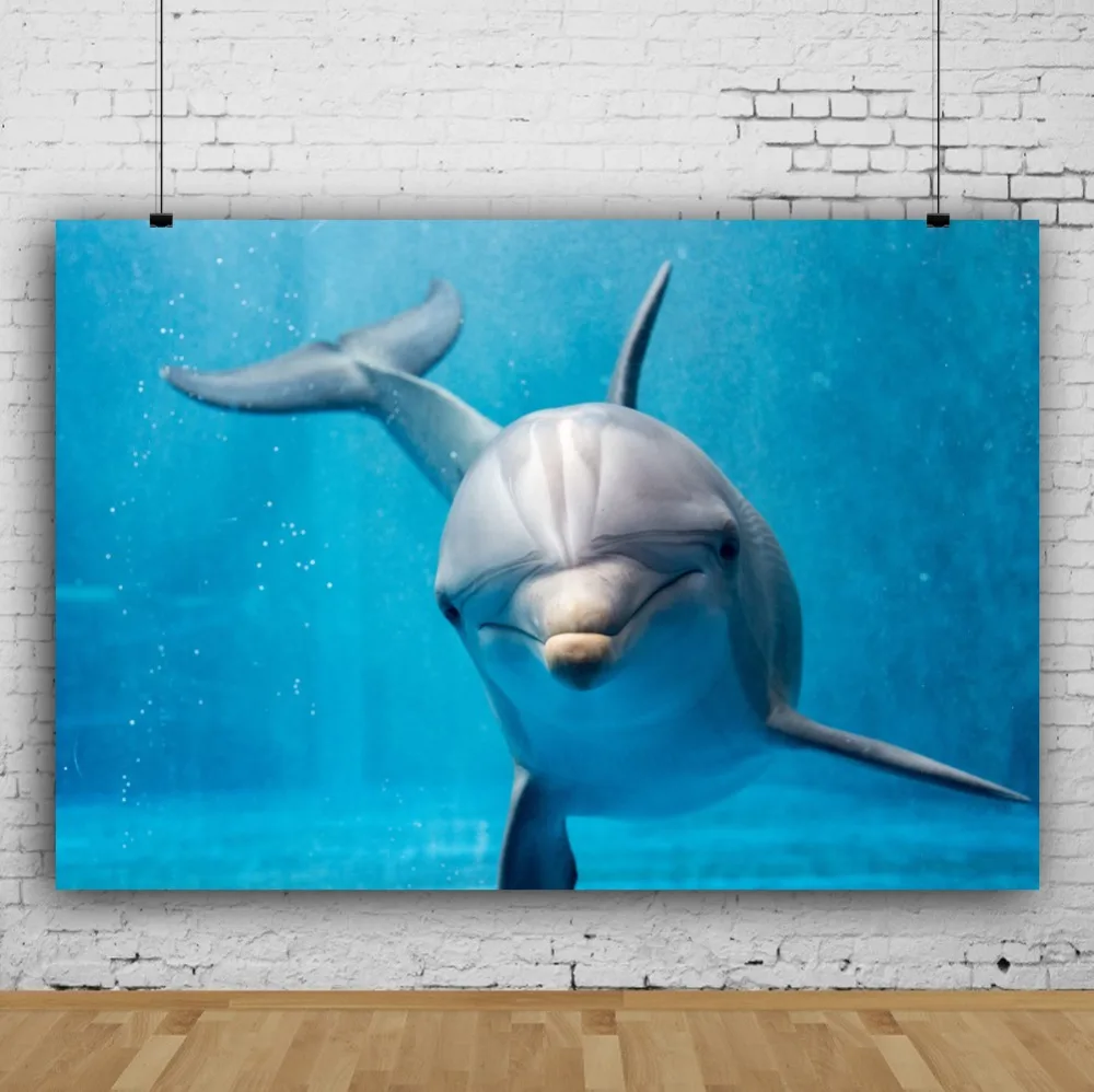 Laeacco Shark Backdrop Birthday Party Fish Sea Underwater World Party Poster Portrait Photo Backgrounds Photography Photo Studio Laeacco Shark Backdrop Birthday Party Fish Sea Underwater World Party Poster Portrait Photo Backgrounds Photography Photo Studio