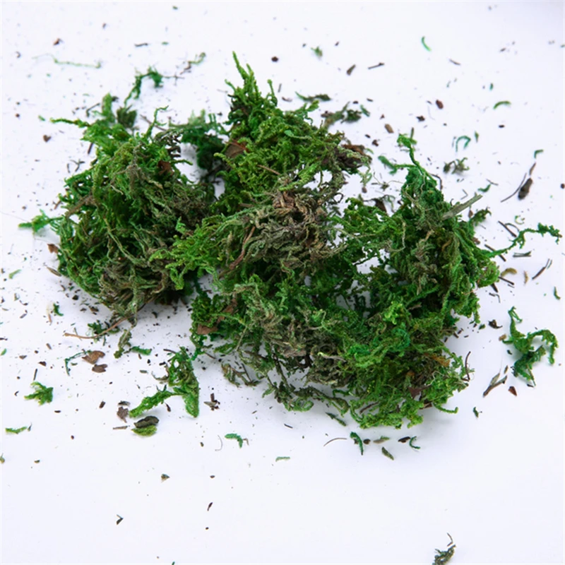 

Natural 30g bag dry real green moss decorative plants vase artificial turf silk Flower accessories for flowerpot decoration