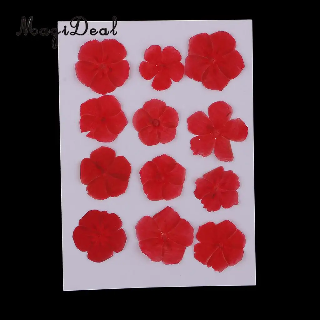 12 Pieces Natural Dried Flowers Real Flower Amaranthus for Kids Craft Card Making DIY Pendants Charms Jewelry