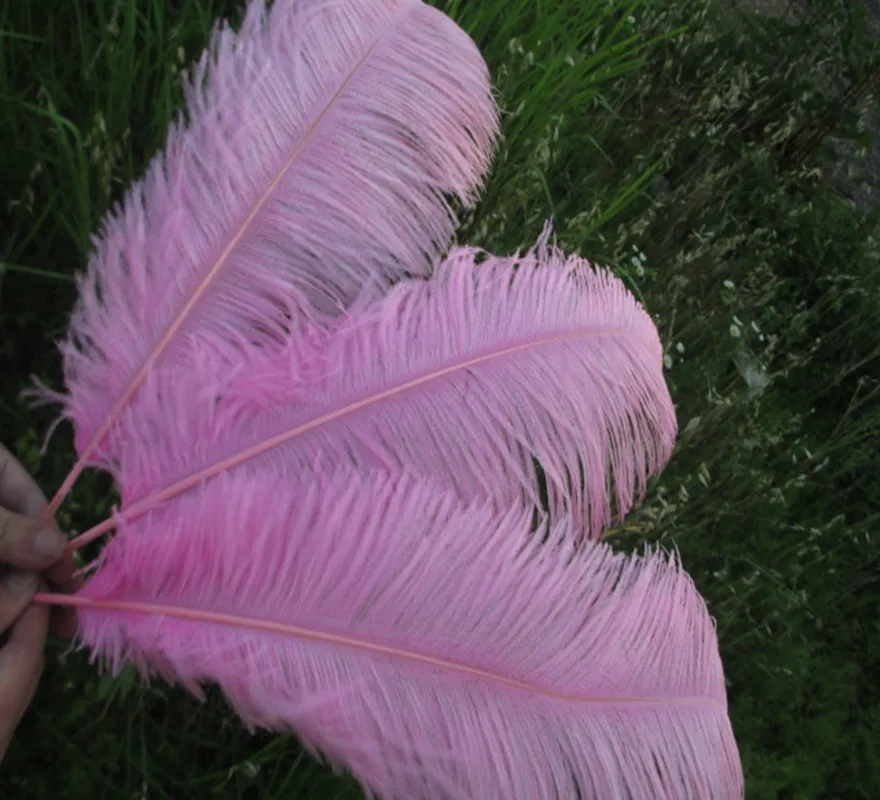 Wholesale 10 pcs / lot beautiful pink ostrich feathers 14 16 inch / 35