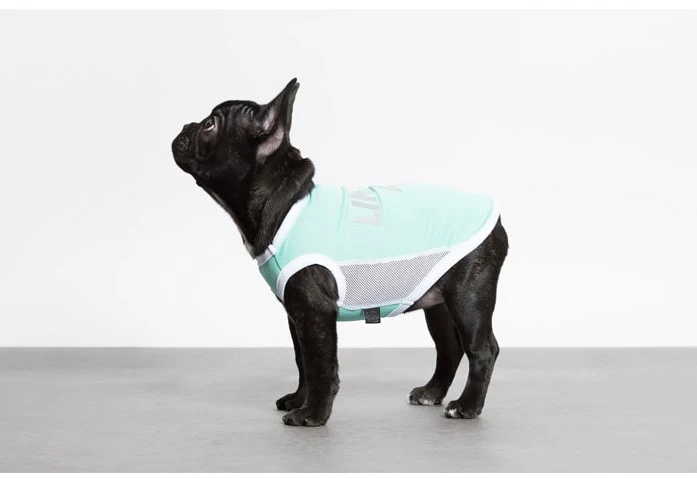 Одежда для собак лето как Сетки Воздуха Собаки Футболка Собака жилет Рубашка с рисунком «Собаки» французский для бульдога Чихуахуа Cat рубашка Pet одежда Ropa Перро мопс