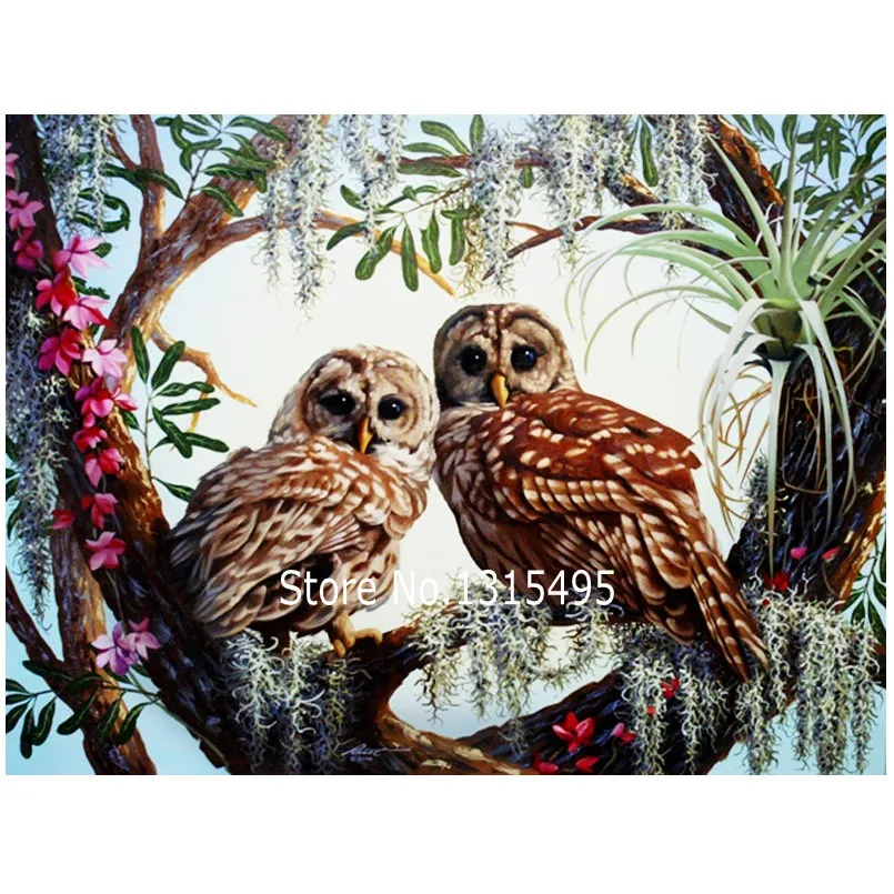 

Cross stitch kits diamond embroidery painting owl 40*30cm the picture pastes diamond mosaic wall sticker