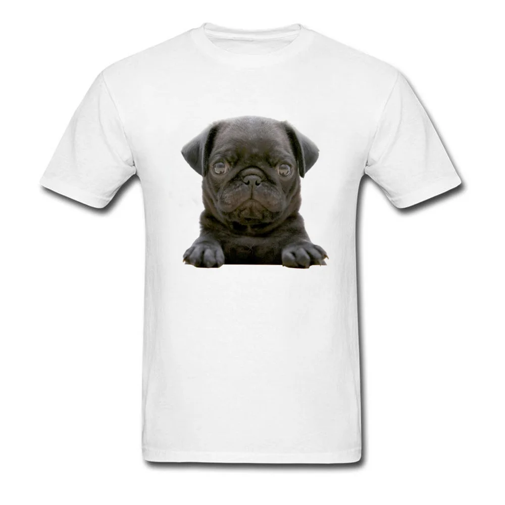 black_pug_puppy-wallpaper-1920x1080_white