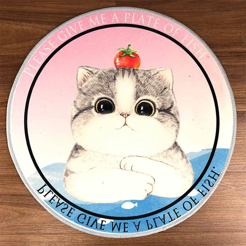 9055622968_1026880003