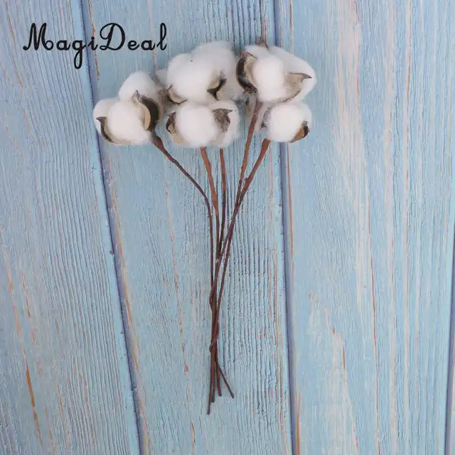 5pcs Decorative Dried Flowers Natural Cotton Stem Branch Plants