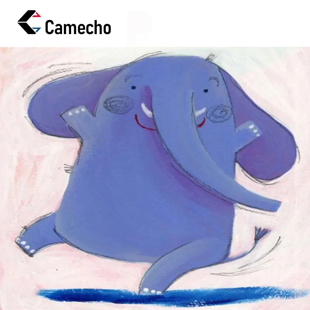 

Camecho дополнительная плата