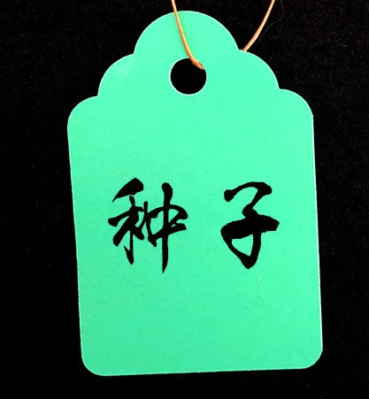 QQ20180513091646_
