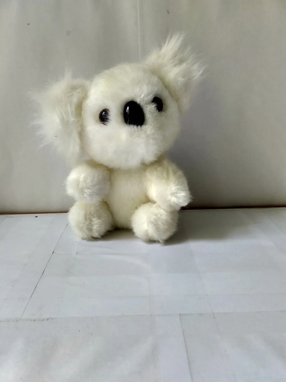 Image result for white koala